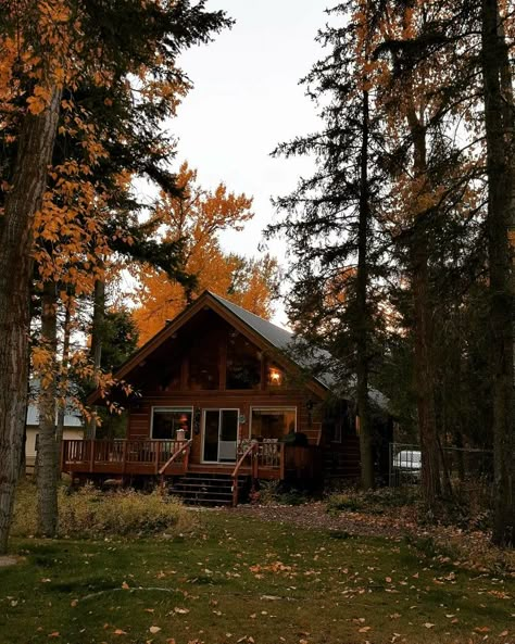 A Cabin In The Woods, Cabin Aesthetic, Dream Cabin, Cabins And Cottages, Forest House, Cabin Life, A Cabin, Cabin Fever, Cabin In The Woods