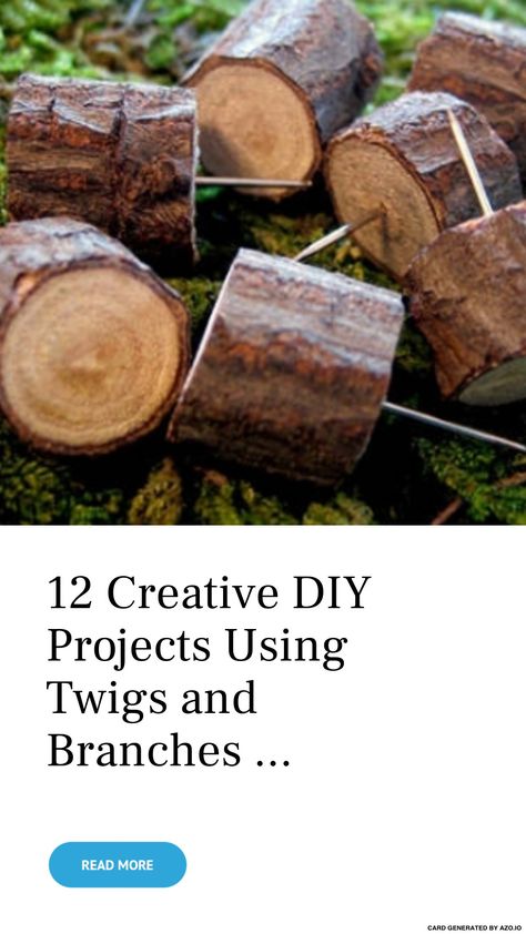 Twig And Branch Projects, Twigs Diy Craft Ideas, Natural Branch Decor, Diy With Tree Branches, Wood Branch Crafts, Branch Crafts Diy, Branch Art Diy, Twig Crafts Branches Sticks Diy Ideas, Twigs And Branches Decor