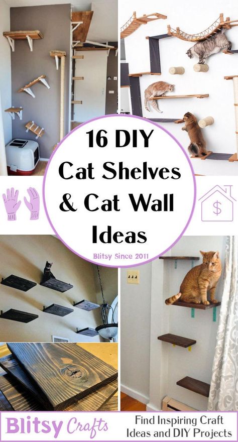 16 Creative DIY Cat Shelves and Cat Wall Ideas - Blitsy Pallet Projects For Cats, Cat Scratching Post Wall, Cat Wall Diy Cheap, Cat Room Shelves, Easy Cat Shelves Diy, Diy Cat Wall Shelves Small Spaces, Indoor Cat Shelves, Rental Friendly Cat Shelves, Diy Cat Space