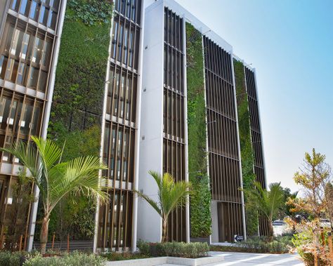 Green Wall Architecture, Green Facade Architecture, Green Wall Facade, Vertical Facade, Social Housing Architecture, Parking Building, Landscaping Projects, Stone Wall Design, Green Facade