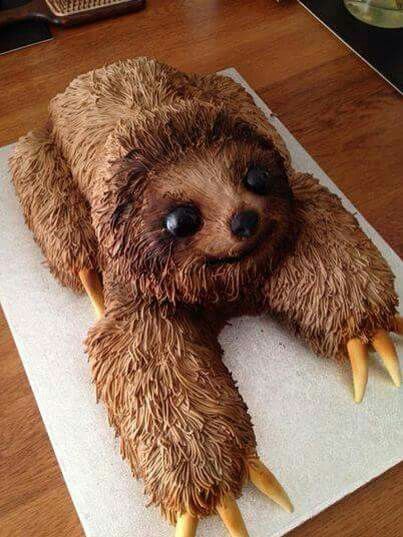 Sloth Cake, Sloth Cakes, Sloth Stuff, Sloth Party, Sloth Birthday, Slow And Steady, A Sloth, Animal Cakes, Animal Cake