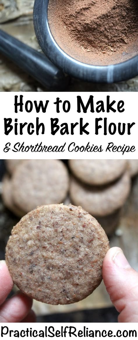 How to Make Birch Bark Flour & Shortbread Cookies Recipe ~ Wild Foraged Flour Shortbread Cookies Recipe, Wild Food Foraging, Food Foraging, Foraging Recipes, Foraged Food, Shortbread Cookie Recipe, Textured Jacket, Wild Edibles, Survival Food