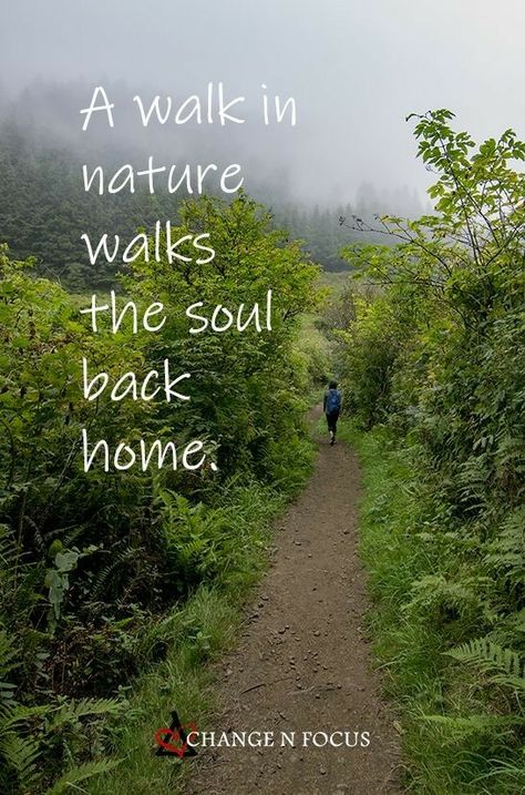 Nature Is Home Quotes, Spend Time In Nature Quotes, Beautiful Quotes About Nature, Back To Nature Quotes, Nature Inspired Quotes, Peaceful Nature Quotes, Take A Walk Quotes, Nature Motivational Quotes, Positive Nature Quotes Inspirational