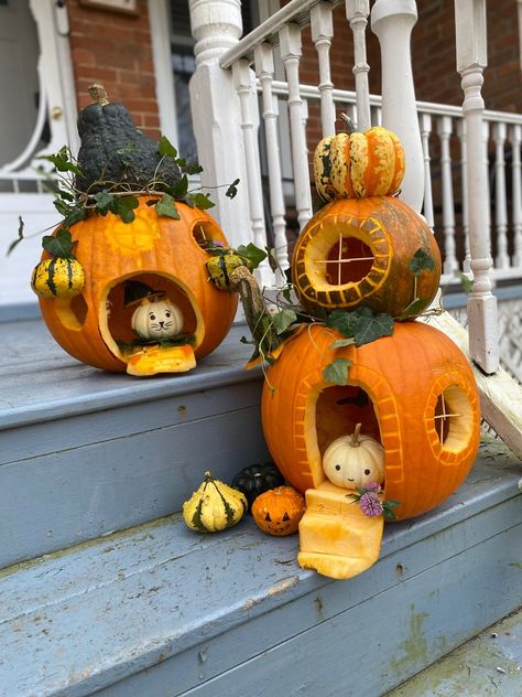 Pumpkin Carving Ideas Fairy House, Circus Pumpkin Ideas, Creative Carved Pumpkins, Pumpkin Fairy Garden, Pumpkin Carving House, Pumpkin House Carving, Best Pumpkin Carving Ideas Creative, Funny Pumpkin Decorating Ideas, Pfps Halloween