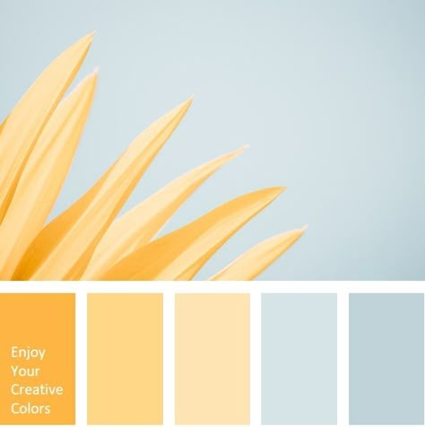 Yellow Palette, Blue Color Palette, Color Palette Yellow, Color Schemes Colour Palettes, Bedroom Color Schemes, Color Palate, Color Palette Design, Creative Colour, Bedroom Colors