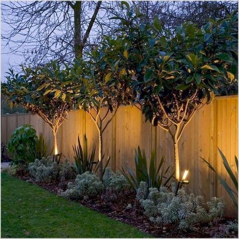 Backyard Privacy Fence, Privacy Fence Landscaping, Fence Design Ideas, Privacy Fence Designs, Cheap Backyard, Privacy Landscaping, Backyard Privacy, Backyard Lighting, Fence Landscaping