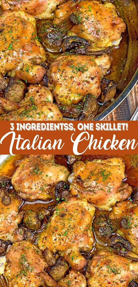 3 Ingredient Italian Chicken Recipe made in one skillet is the perfect family dinner recipe to make on busy weeknights. This chicken dinner is perfect for the whole family and everyone will love it. Italian Chicken Recipes, One Skillet, Favorite Recipes Dinner, Italian Chicken, Family Dinner Recipes, Chicken Dishes Recipes, Family Dinners, 3 Ingredient, Easy Chicken Recipes