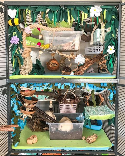 Rat Cage Aesthetic, Rat Enclosure, Rat Cage Ideas, Rat Cage Diy, Types Of Rats, Pet Rat Cages, Sugar Glider Pet, Rattus Rattus, Rat Care