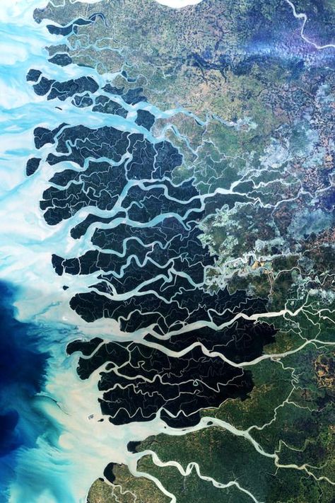 Happy world wetlands day! The Sundarbans is the largest single block of tidal halophytic mangrove forest in the world which covers parts of India and Bangladesh by NASA. #wetlands #blue #green #mangroves #lovemotherearth Africa Nature, Nasa Earth, Mangrove Forest, Earth From Space, To Infinity And Beyond, Birds Eye View, Aerial Photography, Patterns In Nature, Pics Art