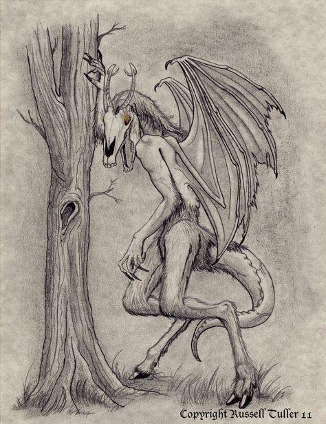 Jersey Devil Folklore Pictures, Luke Tattoo, Devil Images, Mutant Creatures, American Folklore, The Jersey Devil, Legendary Monsters, Strange Beasts, Myths & Monsters