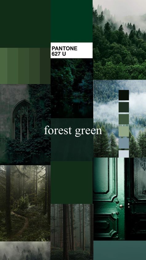 Wellness Colors Palette, Mushroomcore Bedroom, Forest Green Bedrooms, Dark Home Decor, Dark Green Aesthetic, Forest Color, Green Palette, Dark Home, Forest Green Color