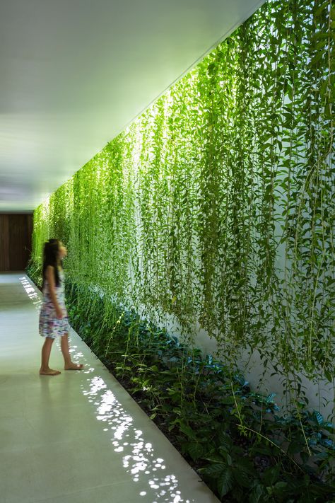 Plant-lined courtyards separate the three single-storey volumes that form this house designed by MIA Design Studio for a coastal city of Vietnam نباتات منزلية, Green Architecture, Green Interiors, Interior Garden, Agra, Green Wall, Vertical Garden, Hanging Plants, Inspired Homes