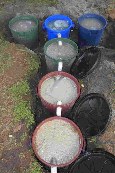 Can my DIY grey water bio filter system ... Grey Water System Diy, Water Filter Diy, Grey Water Recycling, Septic Tank Design, Water Recycling, Water Collection System, Grey Water System, Septic Systems, Pond Filters