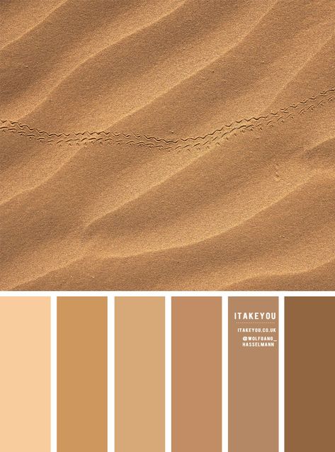 colour palettes Archives 4 - I Take You | Wedding Readings | Wedding Ideas | Wedding Dresses | Wedding Theme Brown Scheme Colour Palettes, Brown Color Wheel, Shade Of Brown Colour Palettes, Sandstone Colour Palette, Neutral Color Wheel, Sand Color Pallete, Sand Wedding Colors, Color Palette Sand, Soft Brown Color Palette