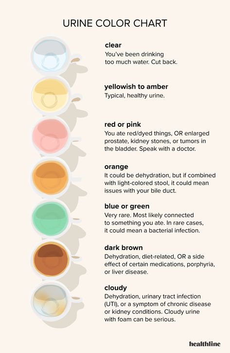 Urine Color Chart: What’s Normal and When to See a Doctor Urine Color Chart, Color Of Urine, Urine Color, Color And Meaning, Natural Cough Remedies, Fitness Advice, Lose 40 Pounds, Good Health Tips, Natural Home Remedies