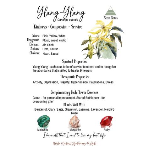 Ylang ylang is an essential oil I like to use in my magical and mundane life. Learn more at Patreon: https://patreon.com/TripleGoddessApothecaryandReiki Website: https://www.triplegoddessapothecaryreiki.com #triplegoddessapothecaryandreiki #crystals  #witchcraft #pagan #tarot #classes #runes #reiki #herbs Ylang Ylang Spiritual Meaning, Ylang Ylang Benefits, Mundane Magic, Ylang Ylang Essential Oil Benefits, Crystals Witchcraft, Mundane Life, Ylang Ylang Essential Oil, Essential Oils Gifts, Magical Herbs