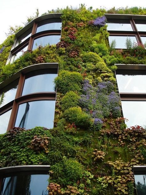 Moss art (permaculture sculpture forum at permies) Plants Growing, Vertical Gardens, Walled Garden, Green Architecture, Design Exterior, Living Wall, Decor Minimalist, Makassar, Green Roof