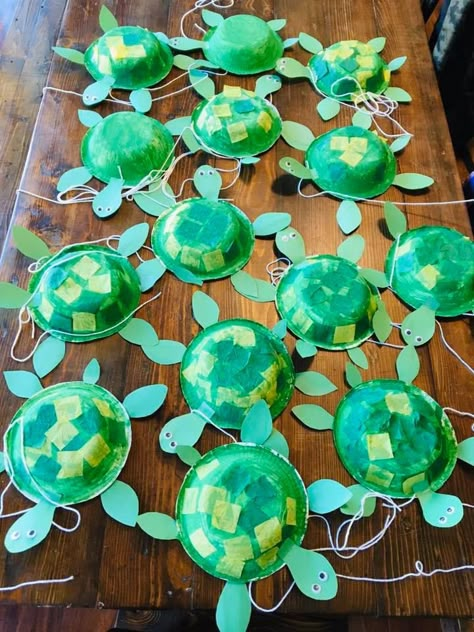 Turtle Paper Craft, Breaker Rock Beach, Scuba Vbs, Under The Sea Crafts, Ocean Theme Classroom, Turtle Crafts, Rock Beach, Pet Turtle, Vbs 2024