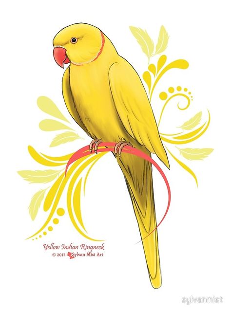 My own original, hand painted, design of a Yellow Indian Ringneck Parrot! • Millions of unique designs by independent artists. Find your thing. Yellow Bird Art, Indian Ringneck Parrot, Parakeet Art, Ringneck Parrot, Indian Ringneck, Parrot Drawing, Parrot Painting, Ring Neck, Parrots Art