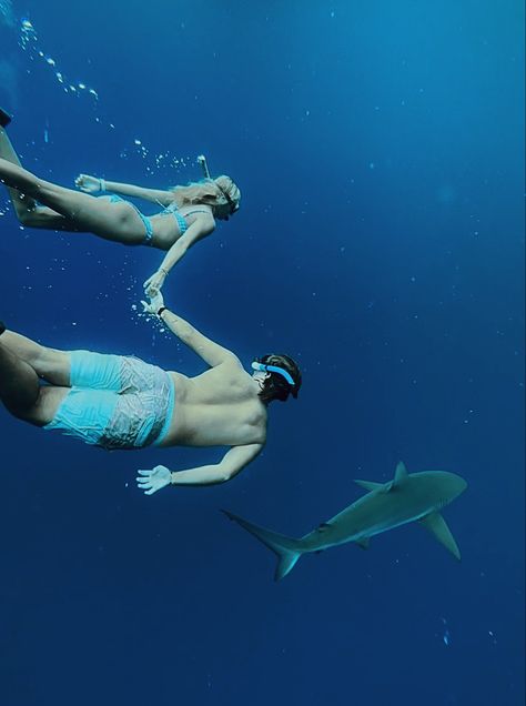 Couples Scuba Diving, Diving Photo Ideas, Water Couple Aesthetic, Couple Scuba Diving Aesthetic, Sky Diving Couple, Ocean Lover Aesthetic, Couple Skydiving, Free Diving Aesthetic, Couple Snorkeling