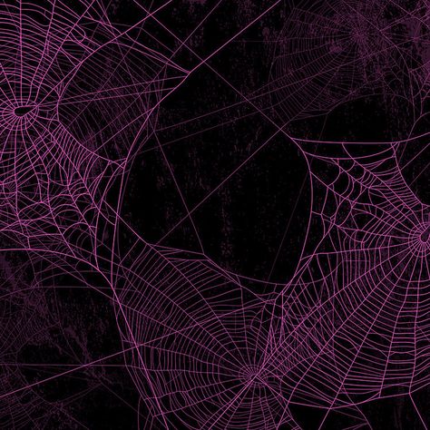 Dark Stage Aesthetic, Spider Webs Aesthetic, Purple Spider Aesthetic, Pink Spider Web Wallpaper, Purple Red Aesthetic, Spider And Butterfly, Purple Spiderman, Spider Web Png, Overlay Stickers