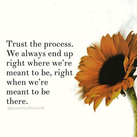 Life Is Meant To Be Lived Quote, You Will End Up Where You Need To Be, What’s Meant To Be Will Always Find A Way Quotes, Quotes About Meant To Be, Life Is Meant To Be Enjoyed, What Is Meant To Be Will Be, What Is Meant To Be Quotes, What’s Meant To Be Will Be, If Its Meant To Be Quotes