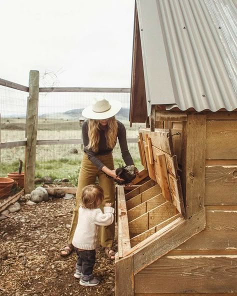 Hatching Egg, Nest Box, Future Farms, Farm Lifestyle, Farms Living, Ranch Life, Hobby Farms, Farm Gardens, Future Family