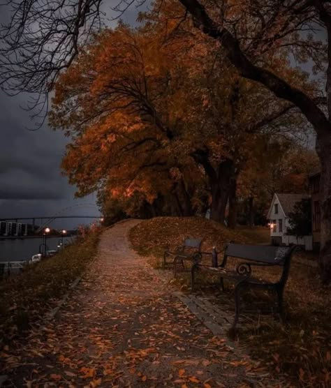 Lucien Vanserra, Park Benches, Fall Mood, Dark Autumn, Autumn Scenery, Season Of The Witch, Fall Feels, I Love Fall, Fall Inspo