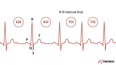 Heart Rate Variability, Nervous System Activities, Heart Rate Training, Stages Of Sleep, Parasympathetic Nervous System, Autonomic Nervous System, Psychological Well Being, Relaxing Activities, Sleep Tracker