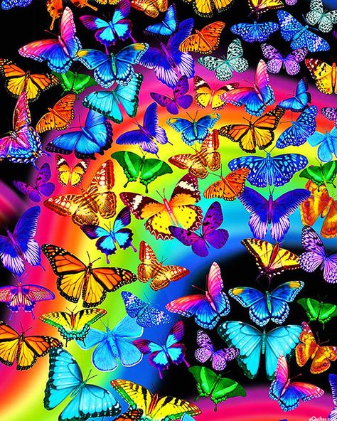 eQuilter Brilliant Butterfly Rainbow - Multi/Black Pictures Of Rainbows, Backgrounds For Editing, Rainbows And Butterflies, Butterfly Live, Butterfly Wallpapers, Rainbow Butterflies, Beautiful Butterfly Pictures, Timeless Treasures Fabric, Love Wallpaper Backgrounds