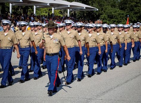 As a senior drill instructor with Echo Company, 2nd Recruit Training Battalion aboard Marine Corps Recruit Depot Parris Island, Gunnery Sgt. Anton Arifaj brings his passion for service every day to his platoon. He knows the energy and discipline he receives from his recruits and drill instructors will only be as much as he gives in return. Oorah Marines, Patriotic Poems, Army Camp, Gunnery Sergeant, Drill Instructor, Parris Island, Camp Lejeune, Military Marines, Us Marines