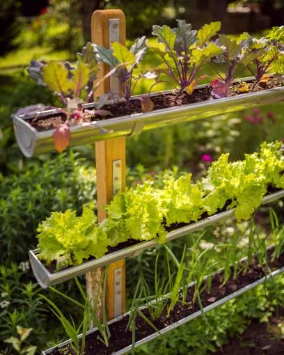 20 Best Vegetable Garden Layout Ideas - Planning Vegetable Garden Plot Pocket Garden, Garden Layout Vegetable, Garden Plots, Vertical Gardens, Pallets Garden, Vegetable Garden Design, Seasonal Garden, Diy Garden Projects, Garden Care