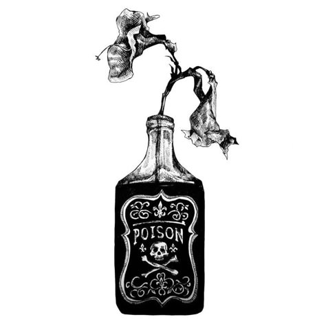 Poison Flower Tattoo, Poison Tattoo Bottle, Remove Drawing, Poison Bottle Tattoo Design, Poison Bottle Drawing, Cowboy Wizard, Poison Drawing, Poison Illustration, Poison Bottle Tattoo