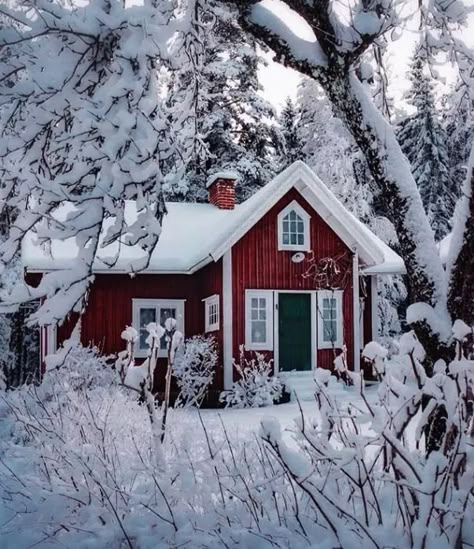 Swedish Homes, Swedish Houses, Scandinavian Houses, Scandinavian Cottage, Red Houses, Swedish Cottage, Sweden House, Winter Cottage, Red Cottage