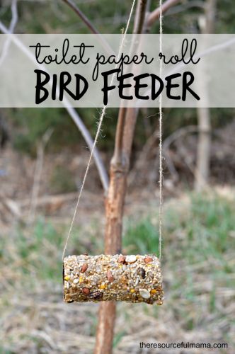 Toilet Paper Roll Bird Feeder Craft Recycled Crafts For Kids, Bird Feeder Craft, Crafts Simple, Earth Week, Earth Day Projects, Fun Summer Crafts, Homemade Bird Feeders, Earth Day Crafts, Toilet Paper Rolls