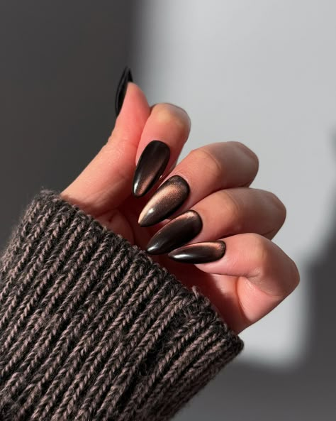 Happy Turkey Day 🦃 so grateful for all of you 🤎 What would you call these glass nails? Cinnamon? Jelly Brown? Let me know below! Products used: @gelcare.official Patent Leather Black, Jelly Brown Bevimee - Silver Cat Eye • use code: THECOLORNOOK to save @nominal #gelcare #lemanoir #gelnails #brownnails #cinnamonglassnails #glassgelnails #glassnails #trendynails #nailartist #gelx #cateyenails cat eye gelx glass nails jelly brown chocolate Brown Jelly Gel Nails, Cat Eye Nails Coffin Shape, Black Gold Cat Eye Nails, Glass Eye Nails, Tigers Eye Nails Design, Bronze Cat Eye Nails, Brown Cat Eye Nails Design, Chocolate Cat Eye Nails, Brown Glass Nails