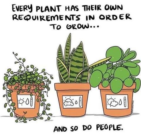 *sings* You can grow your own way...... grow your own wayyyy. | r/wholesomememes | Wholesome Memes | Know Your Meme Good Vibes Quotes Positivity, Plant Quotes, Plants Quotes, Motivation Pictures, Just Be You, Plant Mom, All About Plants, Plant Lady, Plant Life