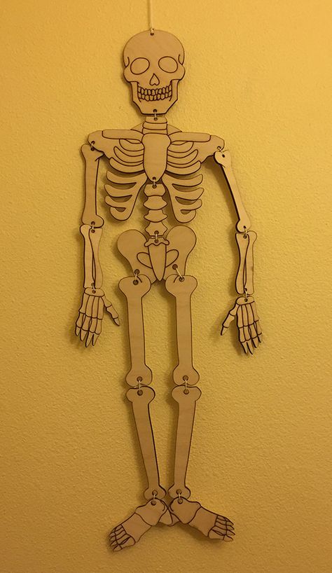 Make A Skeleton Projects, How To Make Skeleton, 3d Skeleton Project, How To Make A Skeleton, Skeleton Model Project, Skeleton Project For School, Diy Skeleton Decor, Cardboard Skeleton, Skeletal System Project