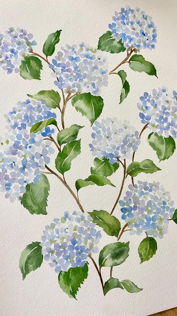 Green Flower Watercolor, Simple Painting Watercolor, Water Colour Hydrangea, Cute Paintings Flowers, Simple Watercolor Paintings Flowers, Simple Painting Ideas Watercolour, Hydrangea Painting Watercolors, Easy Hydrangea Painting, Watercolour Ideas Aesthetic