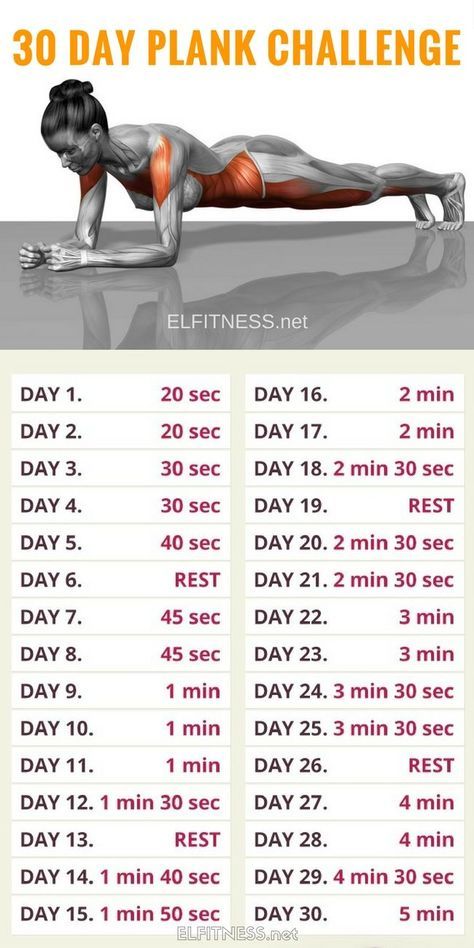 Тренировка 30 Day Plank, Motivasi Diet, 30 Day Plank Challenge, Latihan Dada, Bolesti Chrbta, Gym Antrenmanları, Plank Challenge, Fitness Routines, Trening Fitness