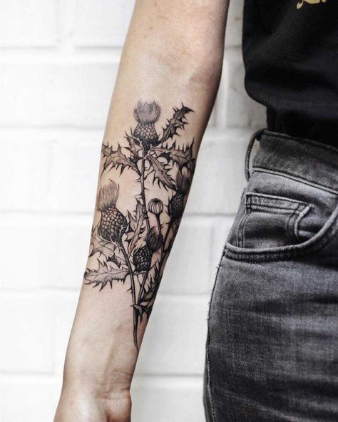 Thistle Tattoo Simple, Mole Tattoo Coverup, Foraging Tattoo, Wolfsbane Tattoo, Meadow Tattoo, Hemlock Tattoo, Thistle Tattoo Black, Goblincore Tattoo, Botany Tattoo