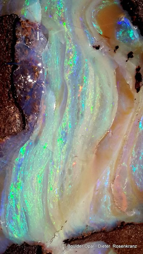 Boulder Opal Pretty Rocks, Cool Rocks, Rocks Crystals, Beautiful Rocks, Gemstones Crystals, Gems Crystals, Mineral Stone, Minerals And Gemstones, Beautiful Colours