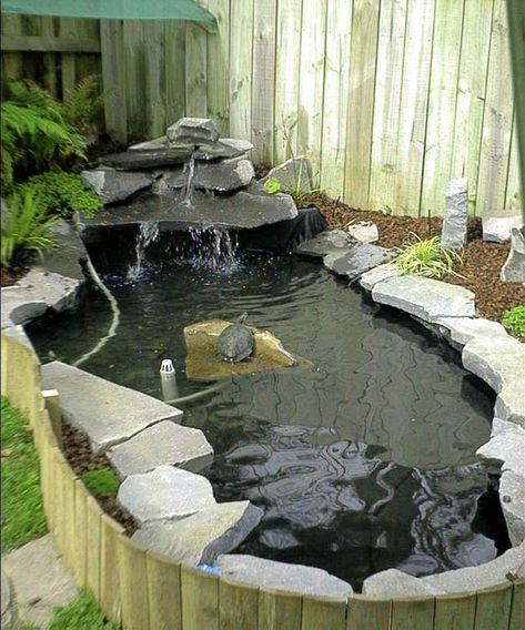 Tartaruga Habitat, Koi Pond Design, Cottage Patio, Turtle Aquarium, Turtle Homes, Taman Air, Pond Garden, Turtle Habitat, Garden Pond Design