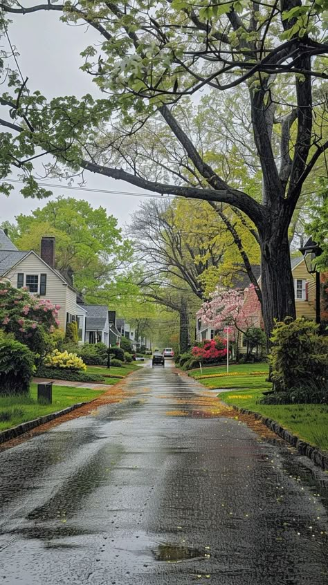 Experience the calming sensation of a rainy day in a delightful small town setting. Let the rhythmic pitter-patter of raindrops on rooftops inspire your own cozy decor ideas and moments of relaxation in charming surroundings. Neighborhood With Trees, City Neighborhood Aesthetic, Beautiful Small Towns, Small Town Usa Aesthetic, Small Town New England, Rainy Neighborhood Aesthetic, Small City Photography, Small Town Neighborhood Aesthetic, Old Neighborhood Aesthetic