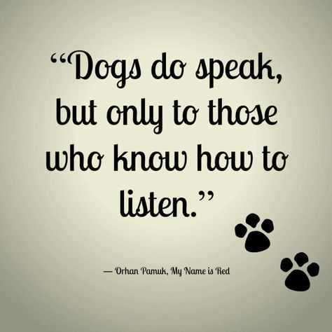 Truth♡ Dog Rules, Memes Humor, Animal Quotes, Dog Quotes, Unconditional Love, Pet Grooming, Training Tips, To Listen, Border Collie