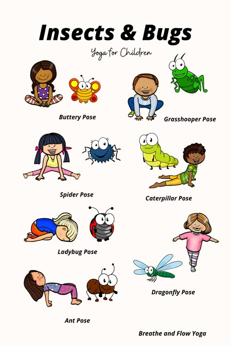 Yoga For Preschool, Bug Lesson Plans Preschool, Yoga Activities For Kids, Yoga With Toddler, Yoga Preschool, Bug Yoga, Poses In Water, Stomach Yoga, Tattoo Fly