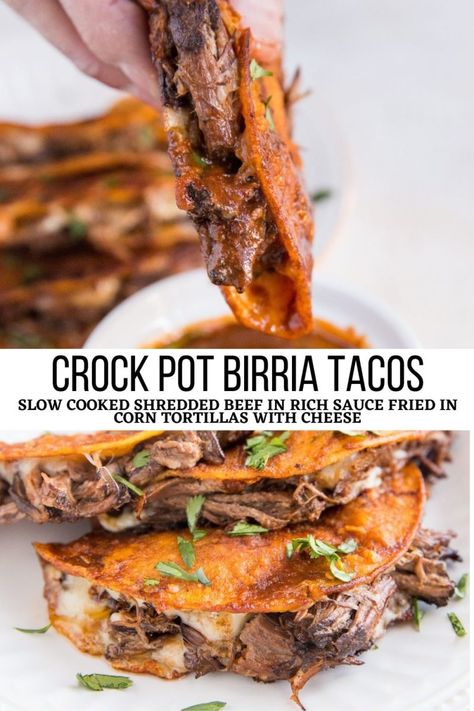 Crock Pot Birria Tacos, Crock Pot Birria, Beef Birria Recipe, Birria Tacos, Crockpot Recipes Slow Cooker, Dinner Recipes Crockpot, Mexican Food Recipes Authentic, Crockpot Recipes Easy, Cooker Recipes