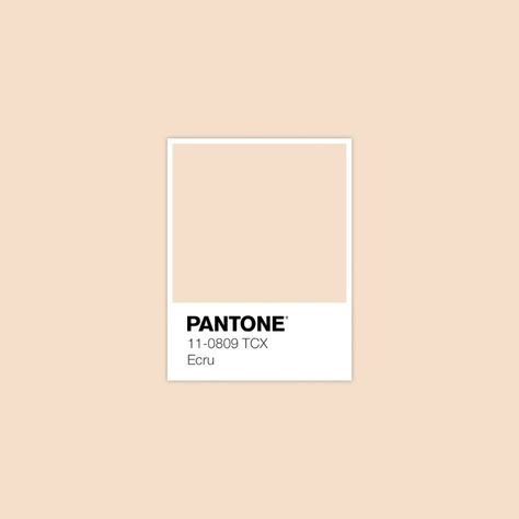 PANTONE 11-0809 TCX Ecru • Download Free Adobe Illustrator Palette in .ase • #pantone #pantone2020 #colortrends2020 #colourinspiration #swatches #colorpalettes #pantonecolors #colorpallete #colortrend #colourtrends #coloraesthetic #colorcombination #colourcombination #colourinspiration #colorcombos #forecast #autumncolors #fallcolor #autumncolours #ecru Pantone Swatches, Pantone Colours, Pantone Palette, Pantone Colour Palettes, Color Pantone, Deco Rose, Summer Color Palette, Pantone Colors, Palette Design