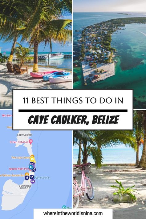 4 photo grid of caye caulker Ambergris Caye Belize Things To Do, Belize Caye Caulker, Travel Belize, Caye Caulker Belize, Belize Barrier Reef, Belize Vacations, Caye Caulker, Belize City, Mangrove Forest