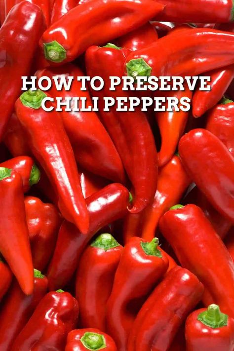 How To Use Chili Peppers, How To Preserve Fresh Chillies, Fresh Chili Pepper Recipes, What To Do With Chili Peppers, Thai Hot Pepper Recipes, Recipes With Chili Peppers, Chili Peppers Recipes, Preserving Chillies, Preserve Chillies